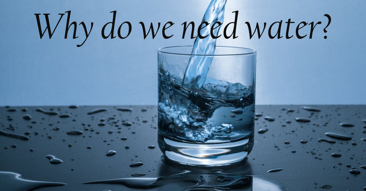 why-the-body-needs-water-dr-sears-wellness-institute