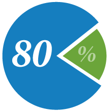 80 Percent Pie Chart